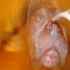 Organic Chemistry